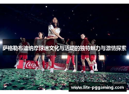 萨格勒布迪纳摩球迷文化与活动的独特魅力与激情探索