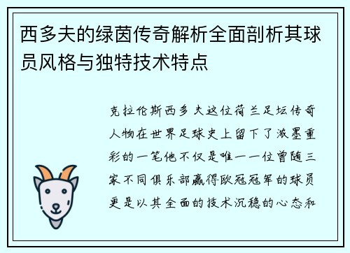 西多夫的绿茵传奇解析全面剖析其球员风格与独特技术特点