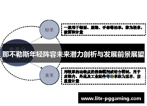 那不勒斯年轻阵容未来潜力剖析与发展前景展望