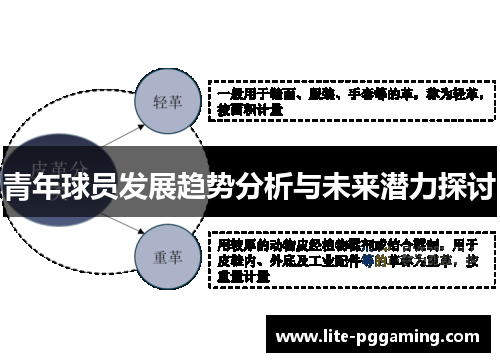 青年球员发展趋势分析与未来潜力探讨